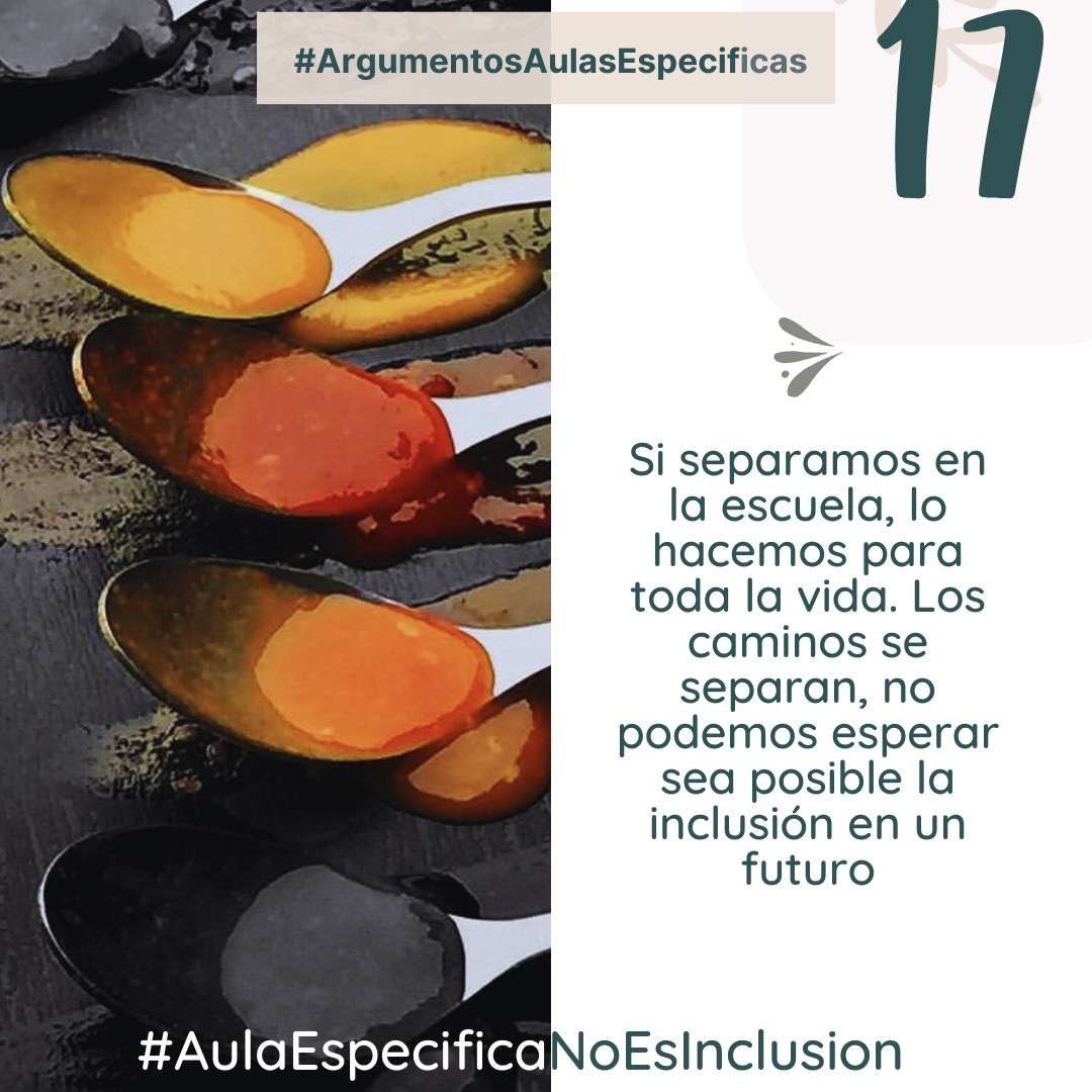Si separamos en la escuela, lo hacemos ara toda la vida. Los caminos se separan, no podemos esperar que se encuentren en un futuro, no podemos esperar la inclusión
