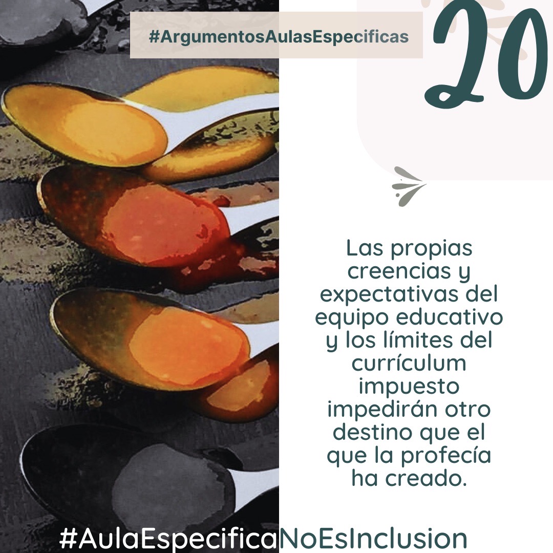 Las propias creencias y expectativas del equipo educativo y los límites del currículum impuesto, impedirán otro destino que la profecía de autocumplimiento ha creado