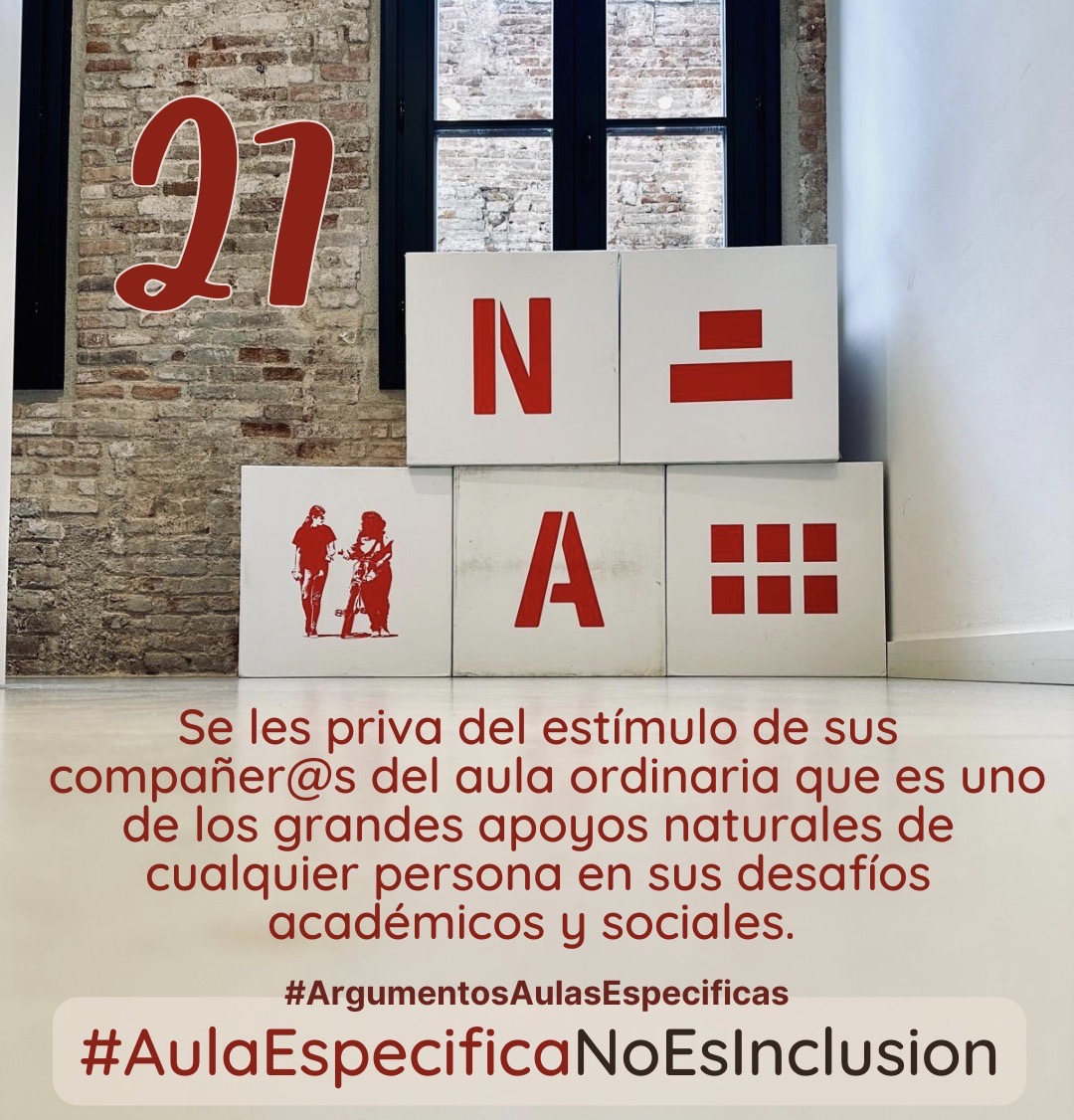 Se les priva del estímulo que suponen sus compañeros y compañeras del aula ordinaria que es uno de los grandes apoyos naturales de cualquier persona en sus desafíos académicos y sociales