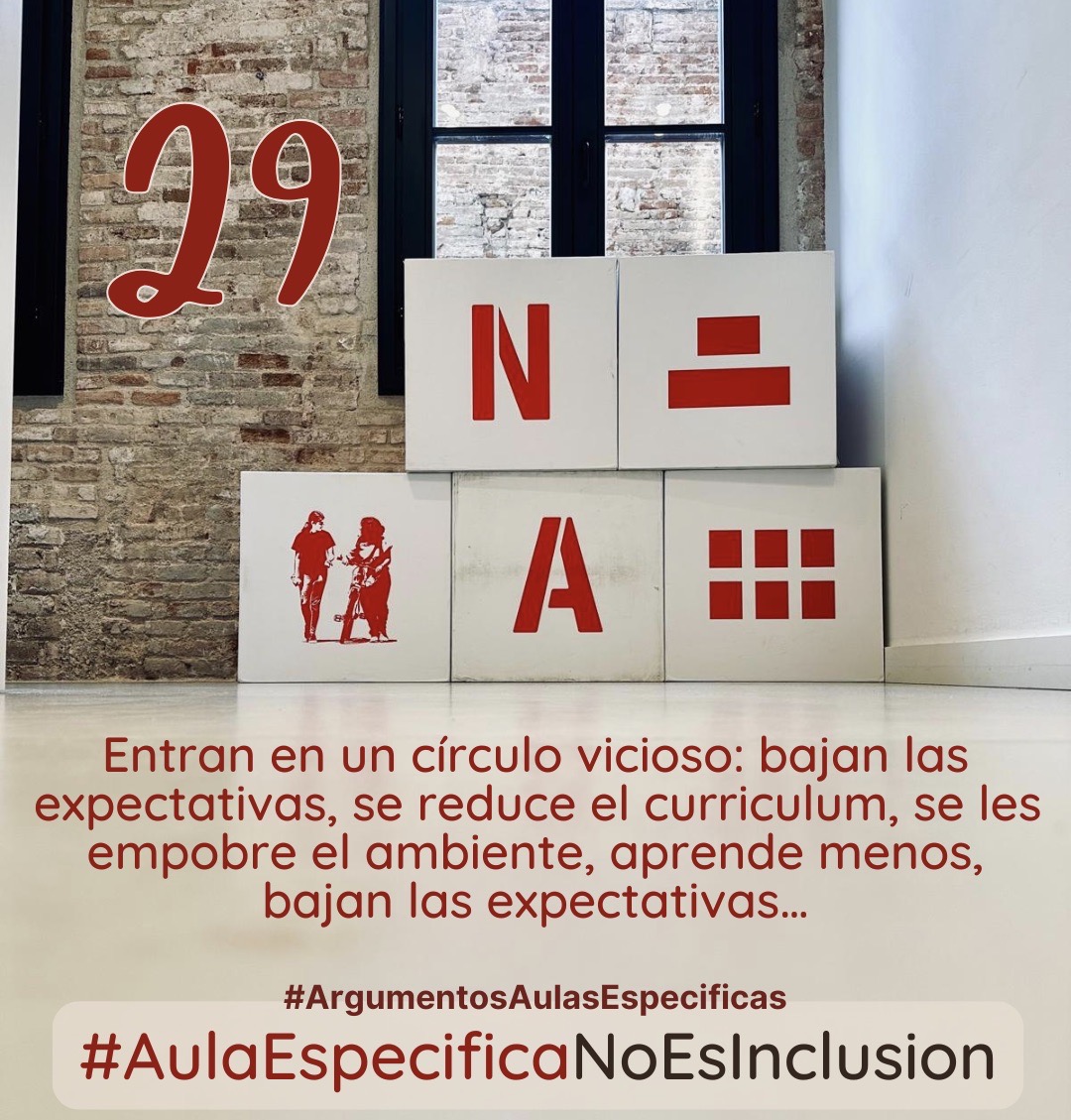 En la escolarización en aula específica se entra en un círculo vicioso: se bajan las expectativas, por lo tanto se reduce el curriculum, al mismo tiempo se empobrece el ambiente al reducirse a un número pequeño de alumnado (entre 5-8), todo esto es causa de que se aprenda menos, y por tanto, bajan las expectativas de nuevo