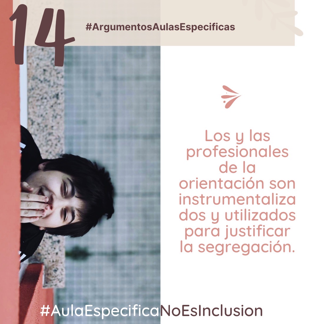 Los y las profesionales de la orientación son instrumentalizados y utilizados para justificar la segregación