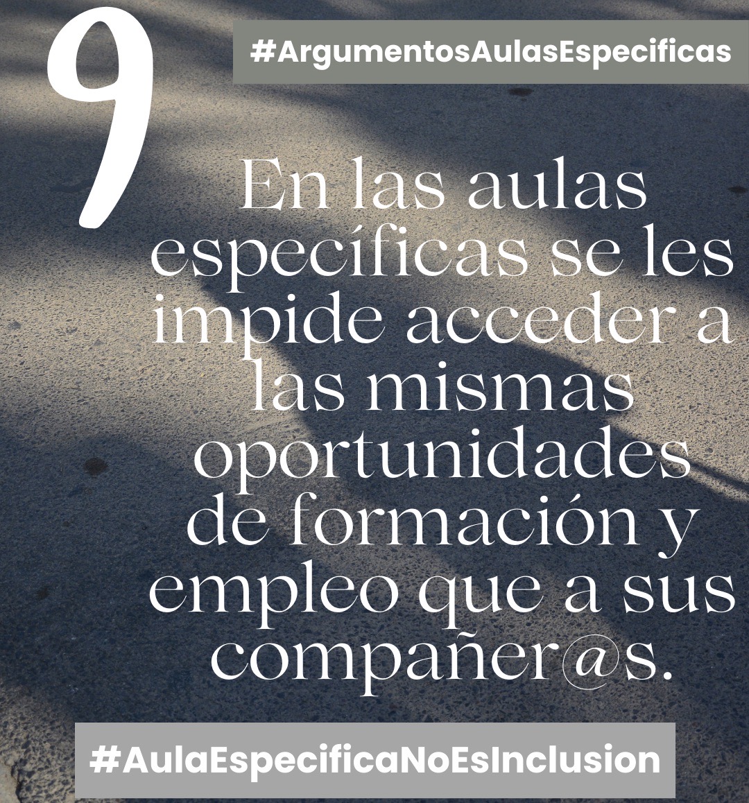En las aulas específicas se les impide acceder a las mismas oportunidades de formación y empleo que a sus compañeros y compañeras del aula ordinaria
