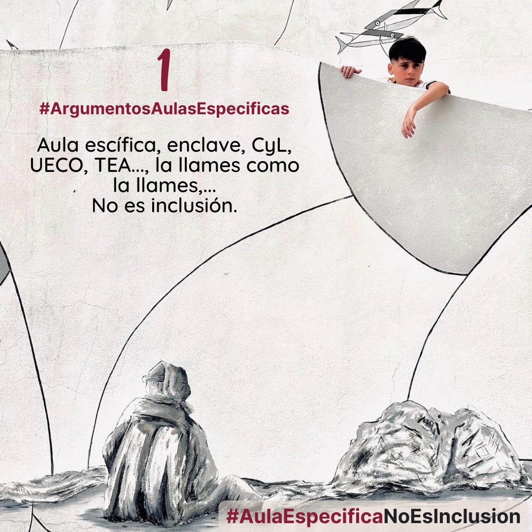 Aula específica, enclave, CyL, UECO, TEA, incluso "aula abierta", la llames como la llames, no es inclusión