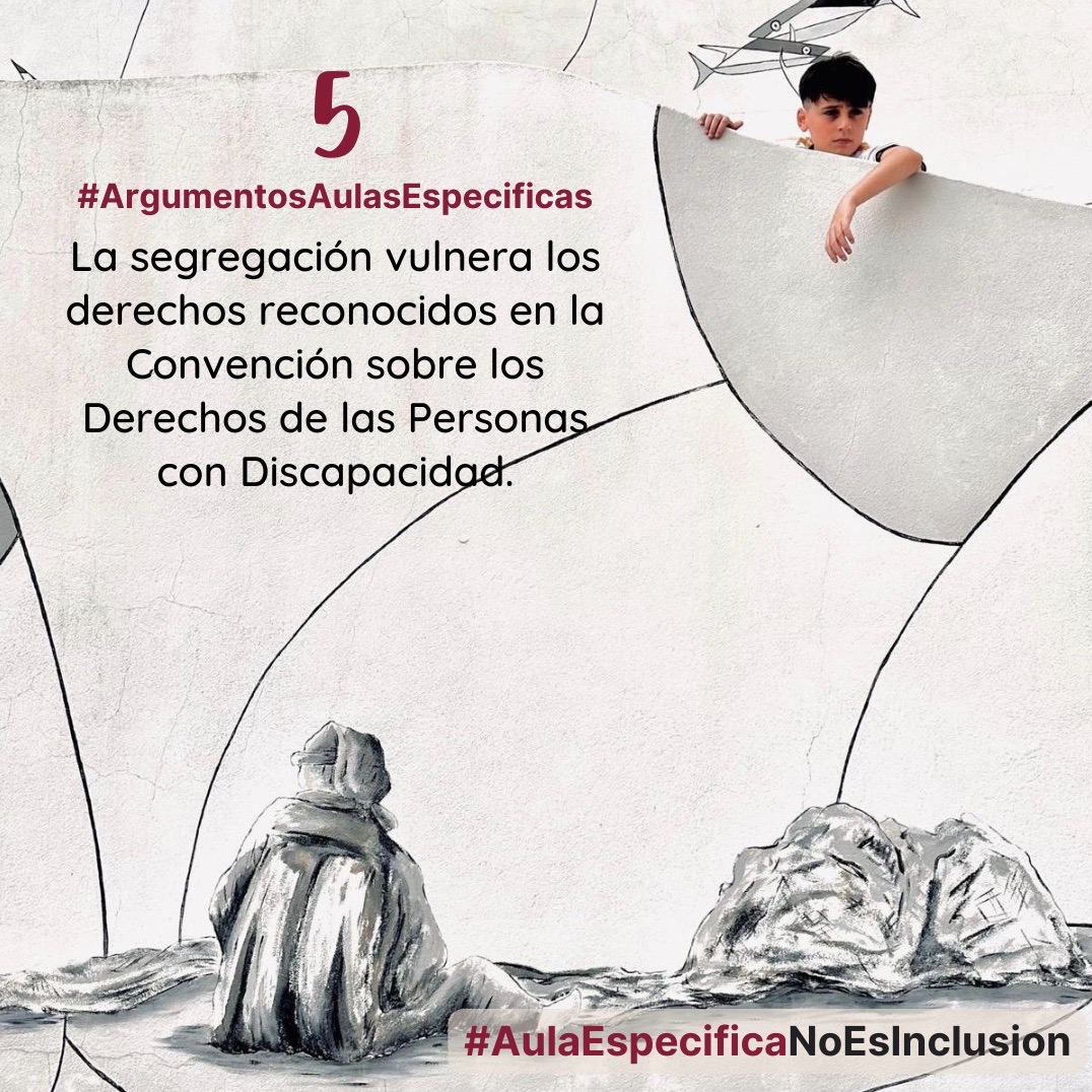 La segregación vulnera los derechos reconocidos en la Convención sobre los Derechos de las Personas con Discapacidad