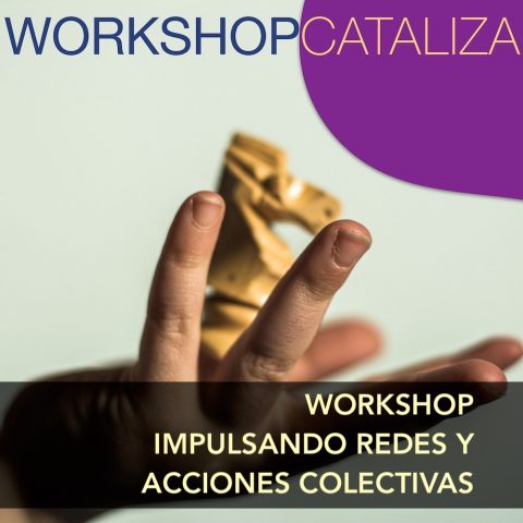 Portada para el taller 'Cataliza: impulsando redes y acciones colectivas'. Al fondo, una mano joven sostiene una pieza de caballo de ajedrez de madera sobre su palma.